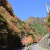 梅ヶ島温泉