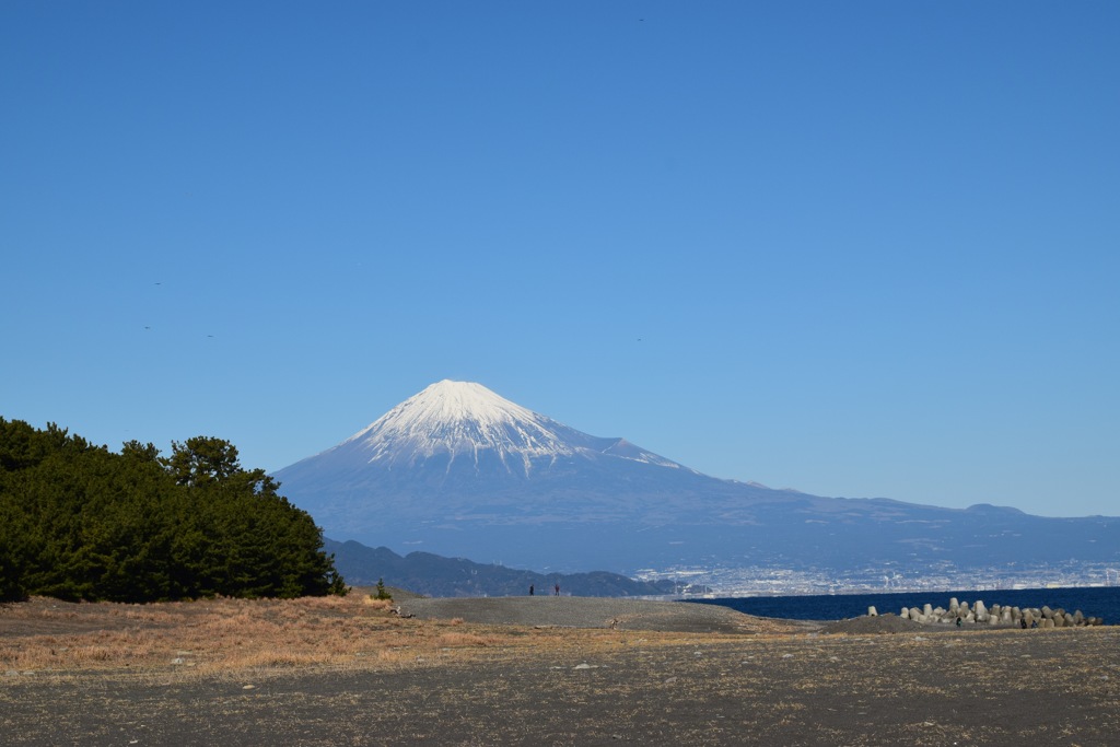 松と富士山in三保の松原