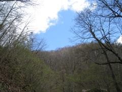 八ヶ岳行く途中の道にて