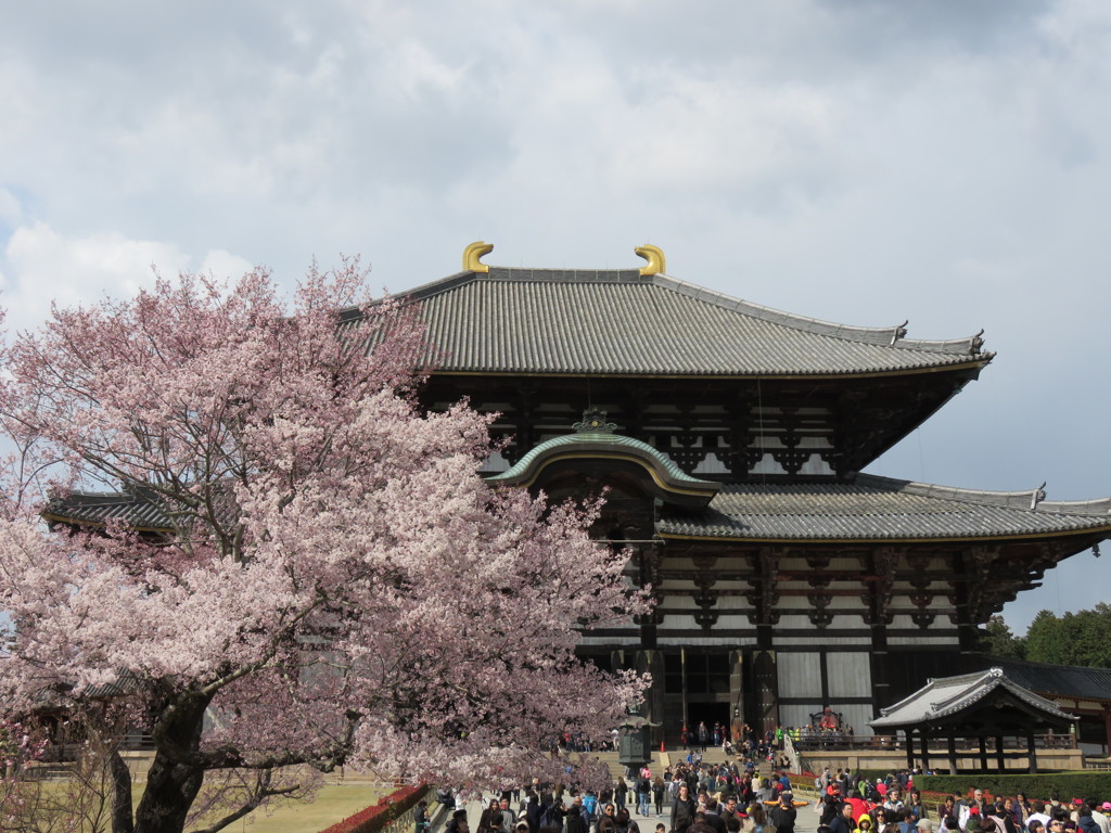 2016、東大寺その４