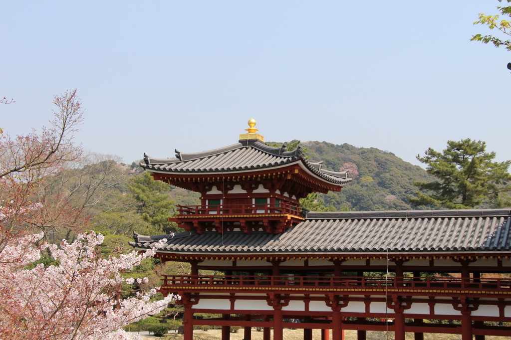 後ろがわの平等院です。