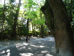 伊勢神宮 内宮 神々の道２