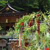 貴船神社・七夕－５