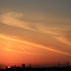 夕陽H