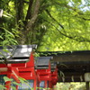 貴船神社の新緑