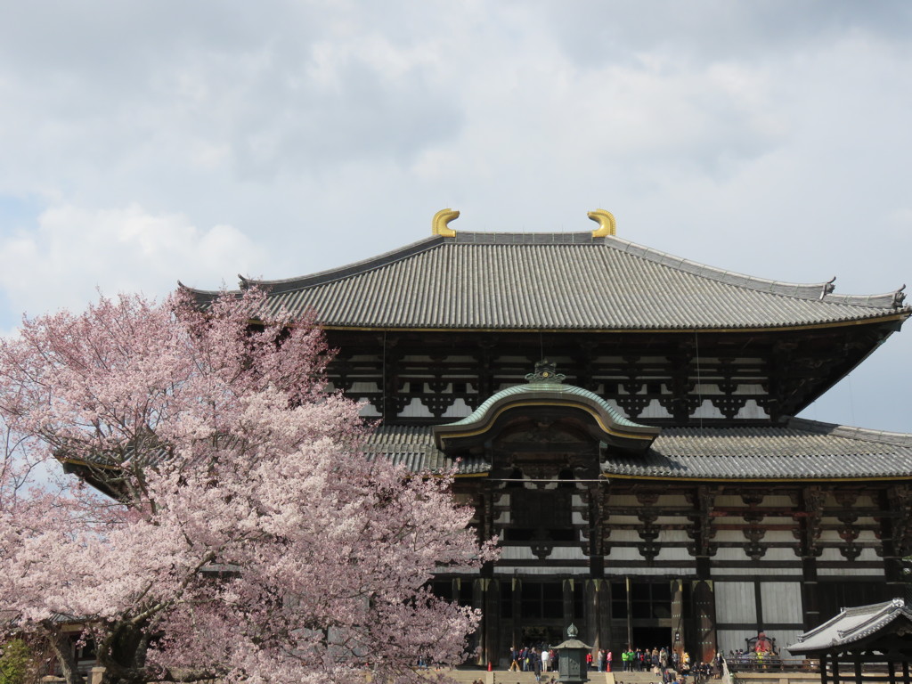 2016、東大寺その２