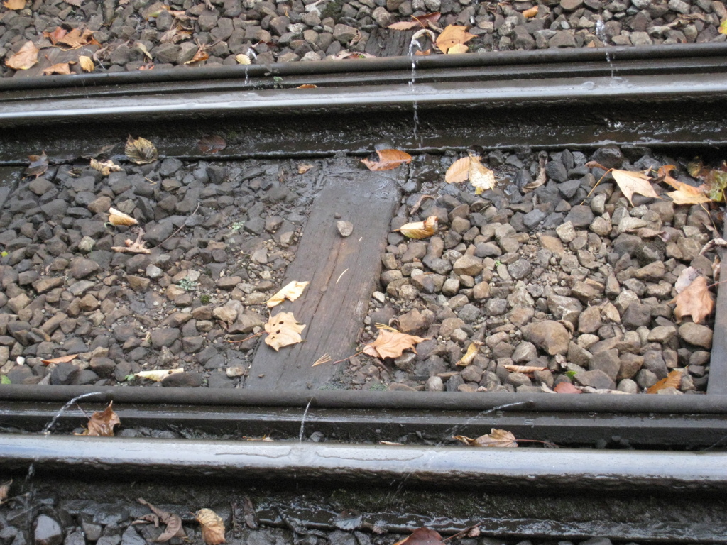 トロッコ列車の線路