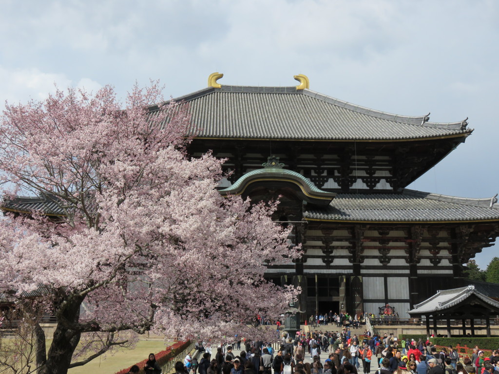 2016、東大寺その３