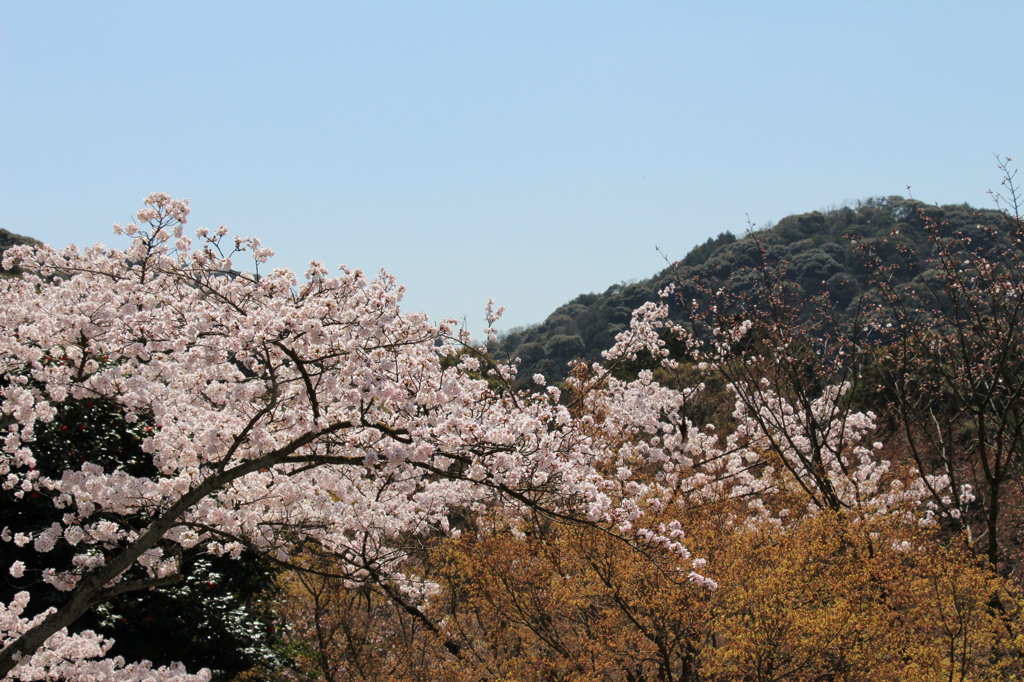 清水寺－４