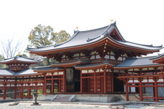 平等院<アップ>