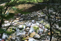神社からの川床風景－２