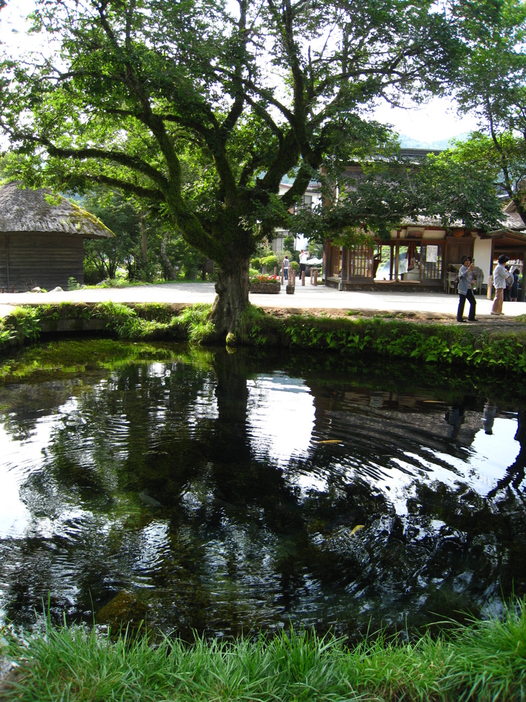 忍野八海その２
