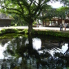 忍野八海その２