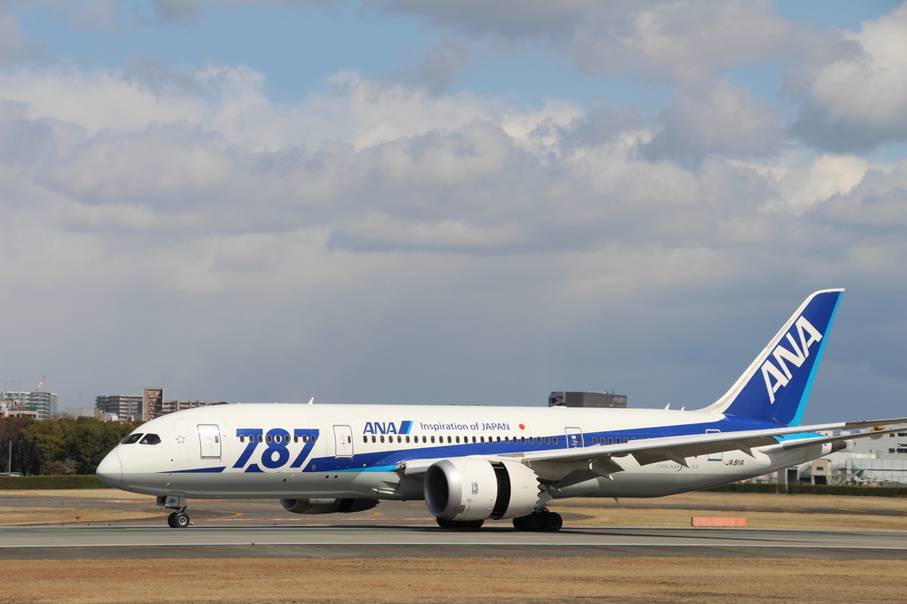 ANA787
