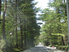 軽井沢の道