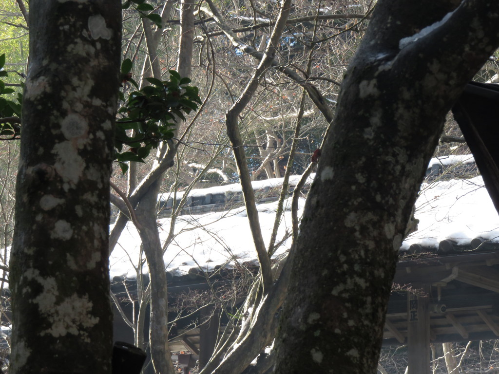 神峯山寺－２