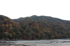 紅葉の嵐山－３