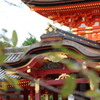 石清水八幡宮-4