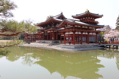 平等院！<右側>