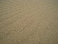 鳥取砂丘の「砂のさざ波」