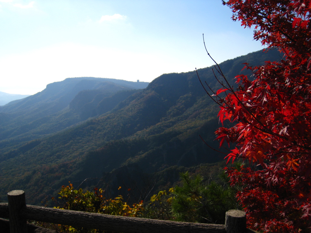 寒霞渓からの紅葉