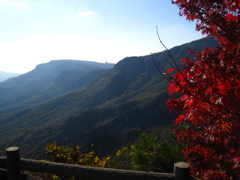 寒霞渓からの紅葉