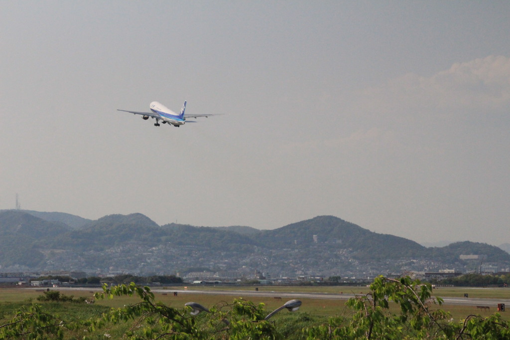 スカイパークその１５