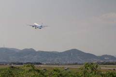 スカイパークその１５