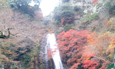 箕面の滝～紅葉～