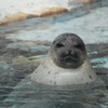 海遊館にて・・・・その２