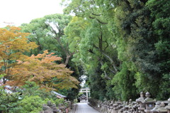 石清水八幡宮-6