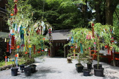 貴船神社・七夕－２