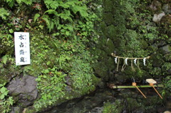 貴船神社の水占い