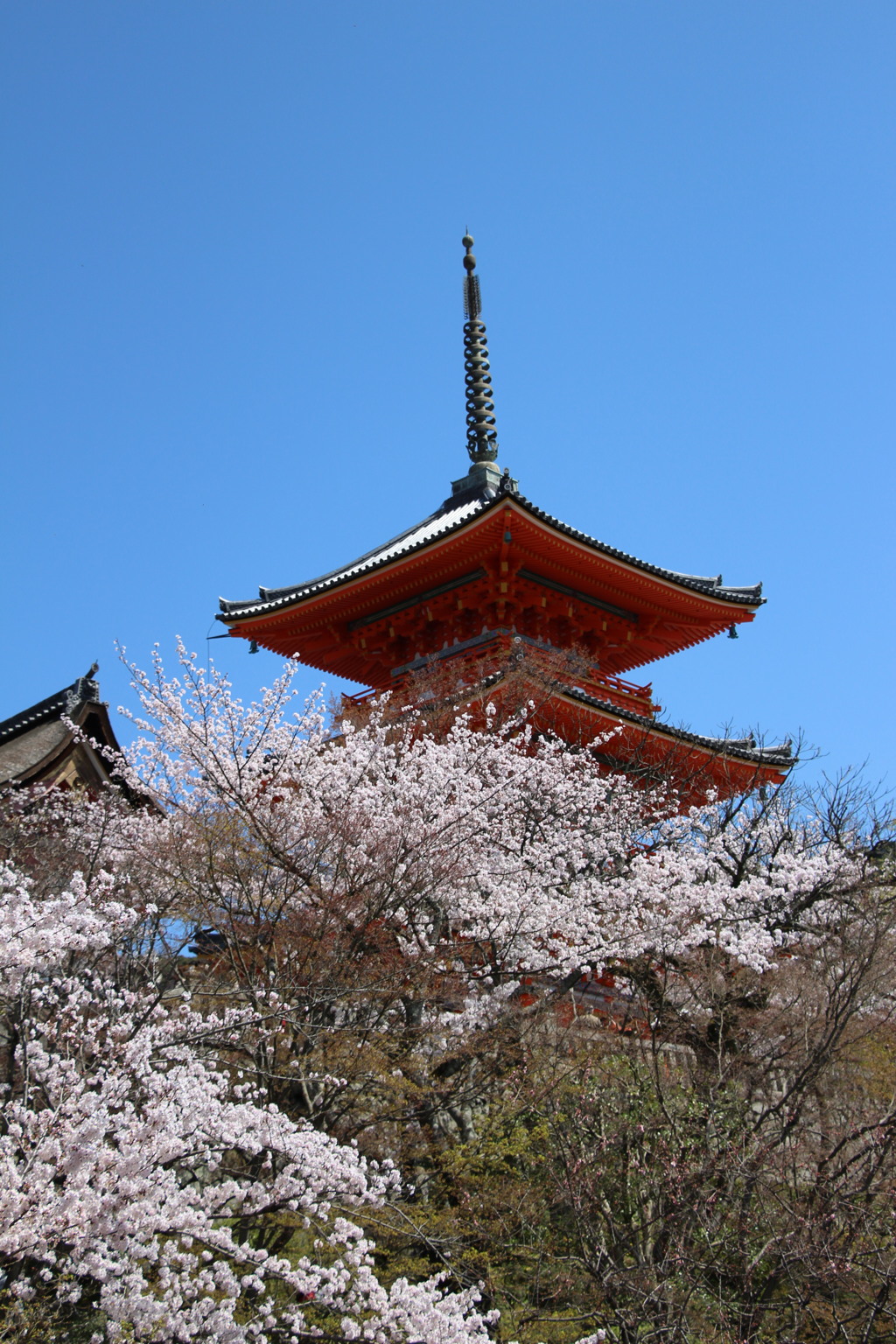 清水寺－９