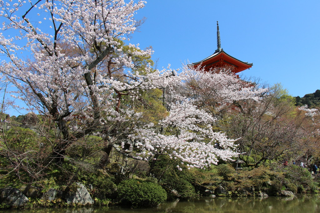 清水寺－１０
