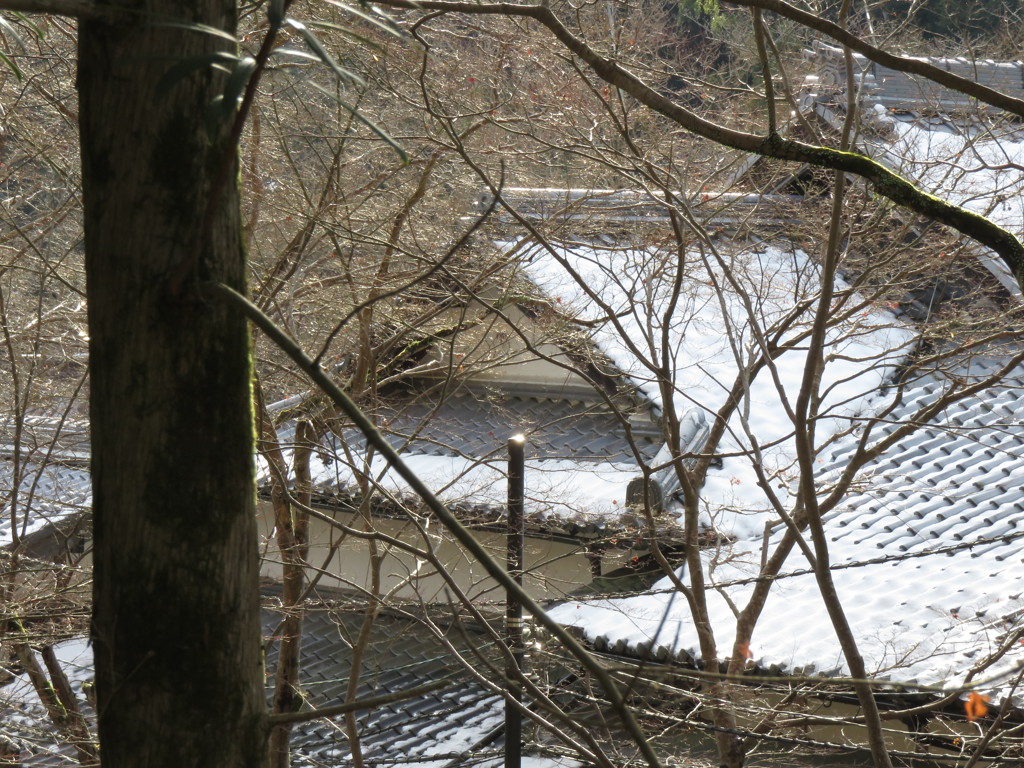 神峯山寺－３