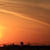 夕陽C
