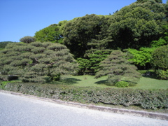 伊勢神宮　内宮庭園その１