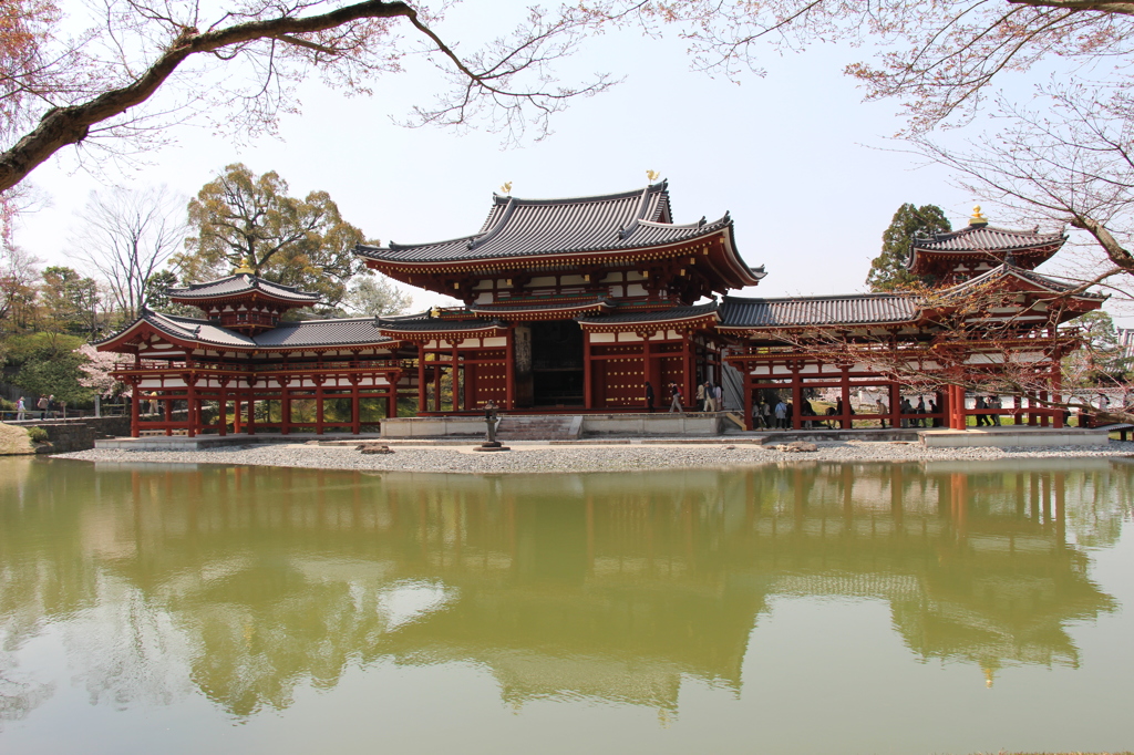 真正面の平等院！