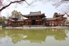 真正面の平等院！