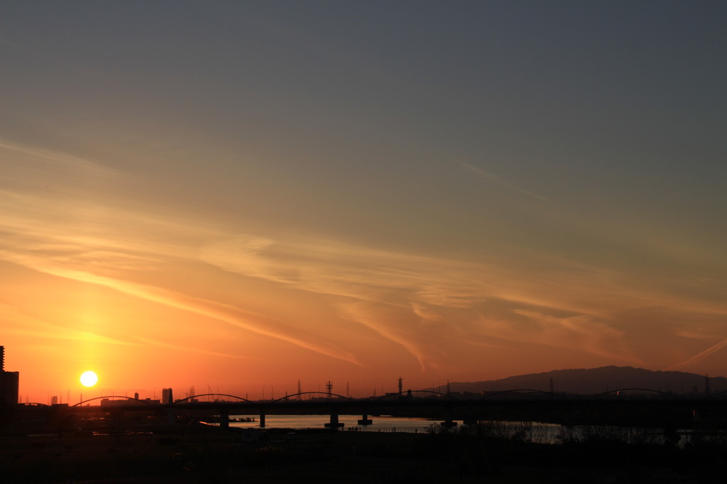 夕陽D