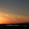夕陽D