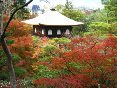 銀閣寺－B