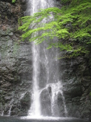 箕面の滝