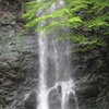 箕面の滝