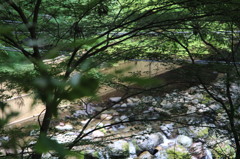 神社からの川床風景－３