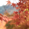 神峯山寺・紅葉０９