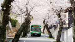 桜トンネルと神戸市バス