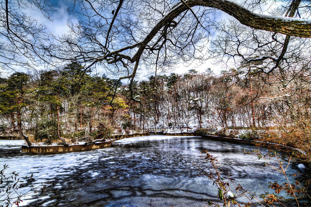 降雪の長谷池