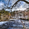 降雪の長谷池